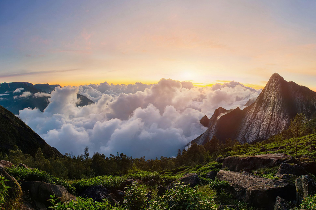 Keralatourfromtrichy