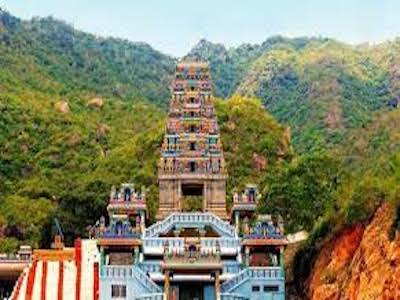 Thiruthani Murugan Temple Tour from Trichy